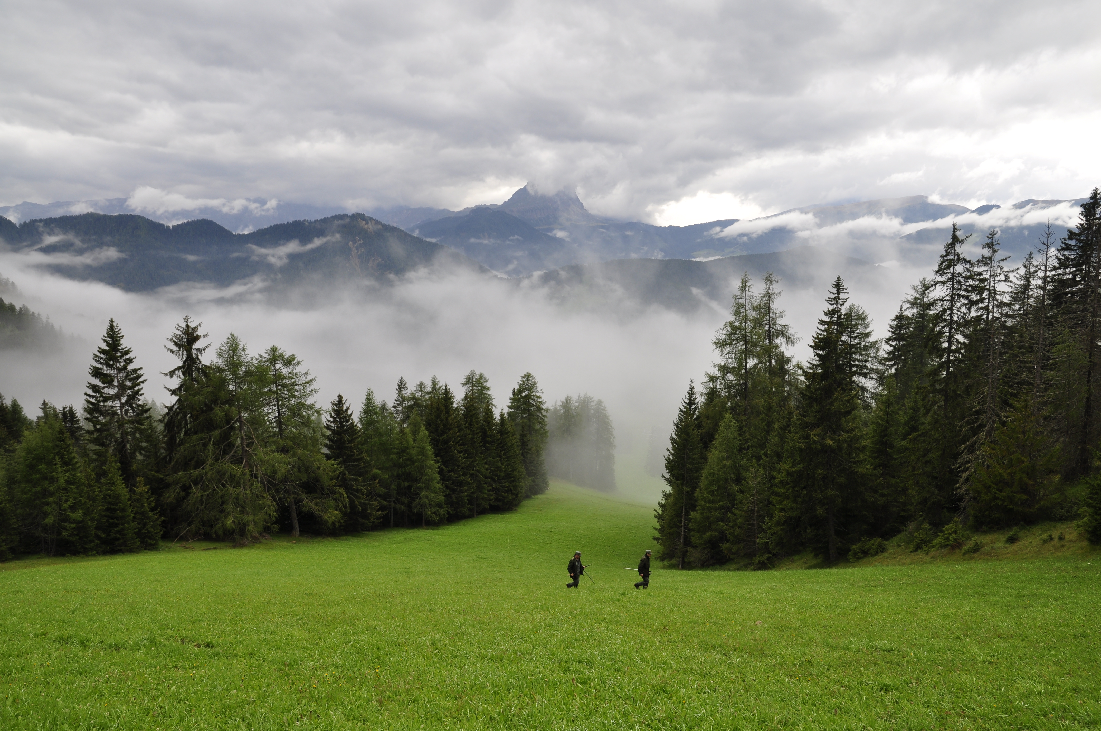 INERBIMENTO PISTE DA SCI E AMBIENTI MONTANI