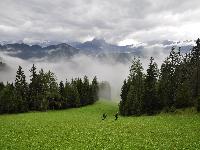 INERBIMENTO PISTE DA SCI E AMBIENTI MONTANI